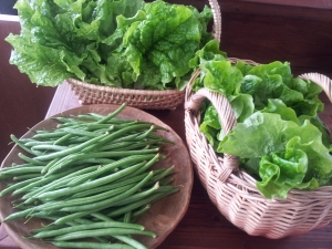 朝づみ野菜プレゼント